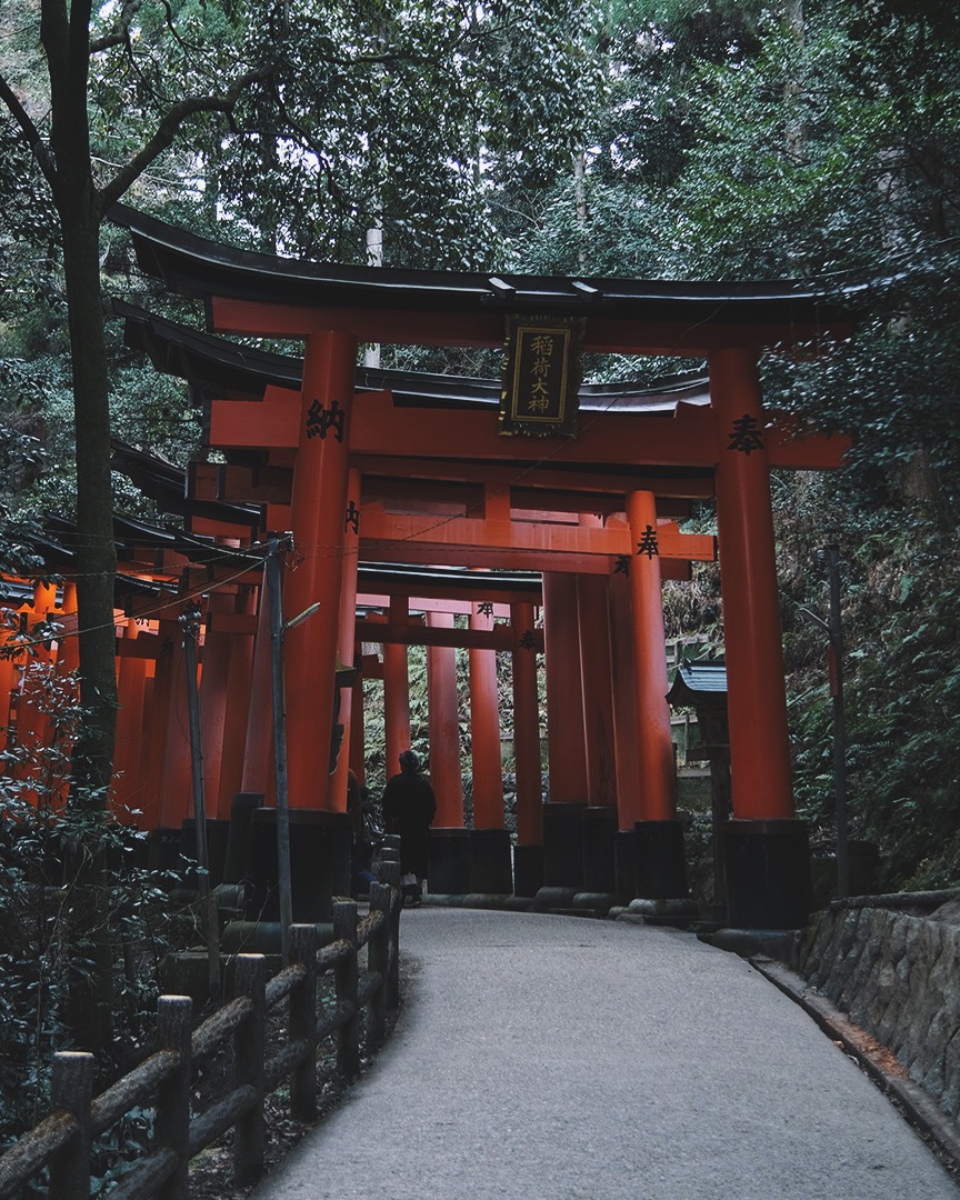 Processed with VSCO with a8pro preset